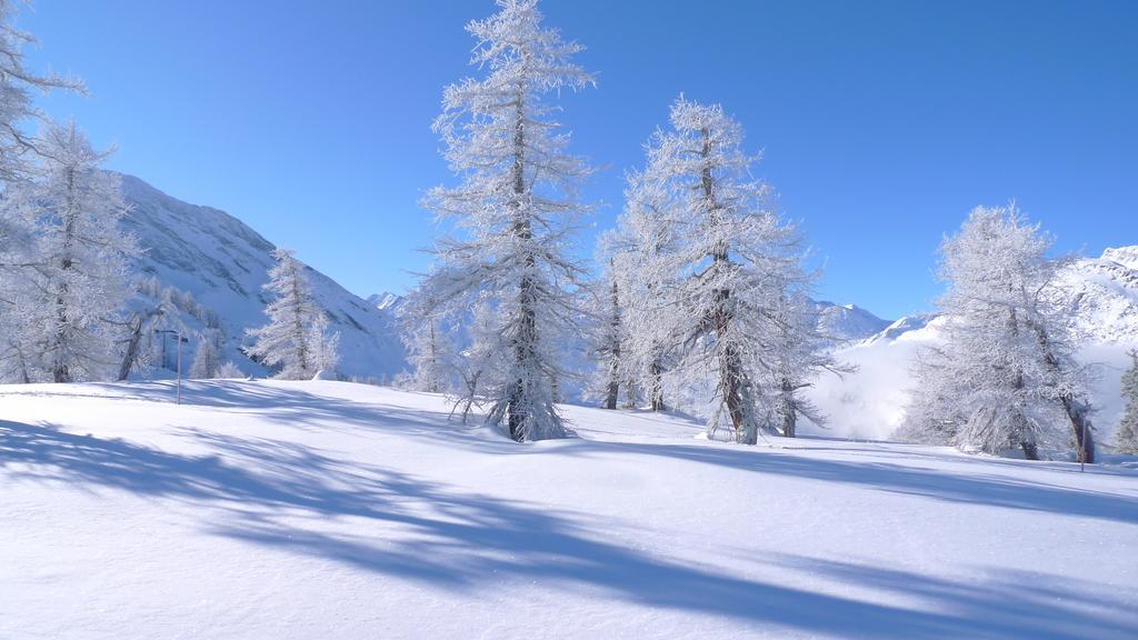 Berggasthaus Wasenalp Бриг Екстер'єр фото